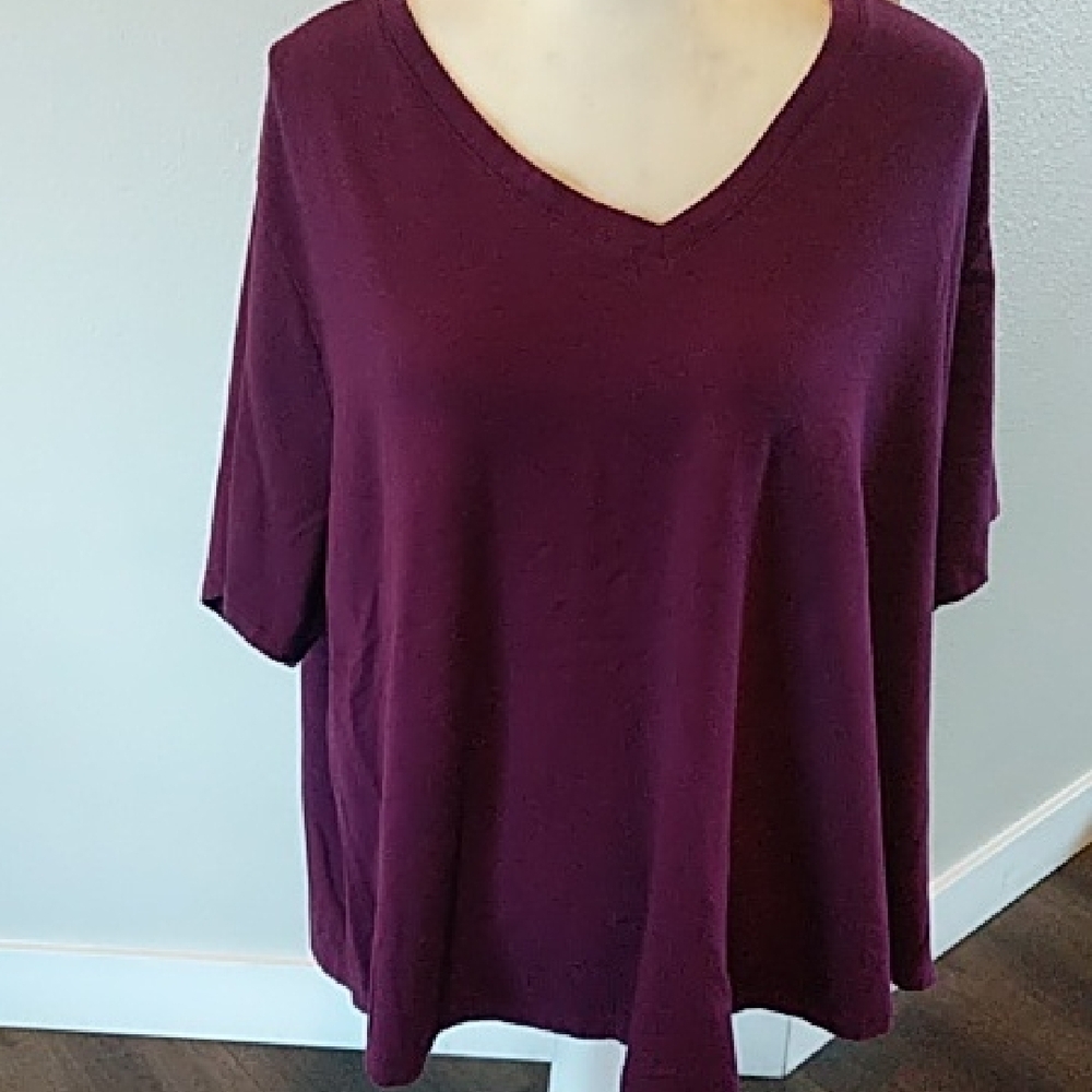 Women's Purple V-Neck Top